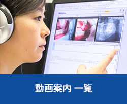 動画案内 一覧